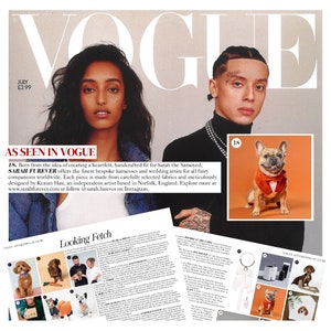 Op de afbeelding: Een tijdschriftpagina met het Vogue-logo, een foto van twee personen en verschillende kleine afbeeldingen van honden met accessoires. De tekst bevat AS SEEN IN VOGUE, Looking Fetch en beschrijvingen van diverse huisdierproducten en merken.