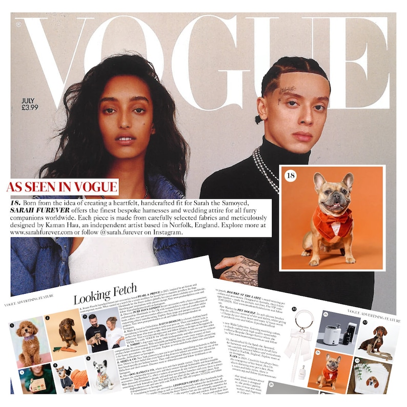 Op de afbeelding: Een tijdschriftpagina met het Vogue-logo, een foto van twee personen en verschillende kleine afbeeldingen van honden met accessoires. De tekst bevat AS SEEN IN VOGUE, Looking Fetch en beschrijvingen van diverse huisdierproducten en merken.