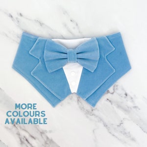 Sky Blue Velvet Wedding Dog Tuxedo | Wedding Pet Tuxedo Bandana  | Optional Upgrade to Dog Ring Bearer | Light blue Wedding Pet Attire