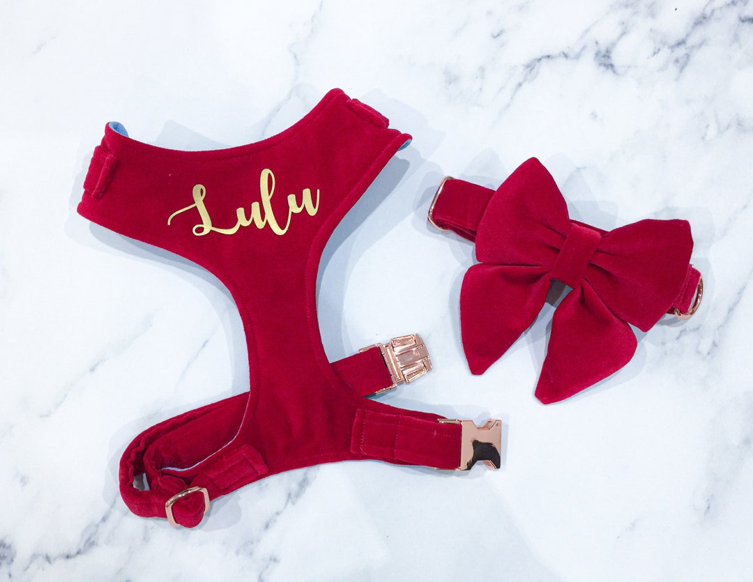 Red Velvet Dog Harness SET Optional With Collar Sailor Bow Leash Name Personalisation Bright Red