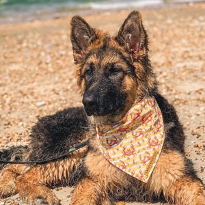 Yellow Summer Beachside Dog Bandana, Summer Beach Dog Bandana, Crabs Dog Bandana, Cromer Crabs Dog Bandana, Handmade in Norfolk
