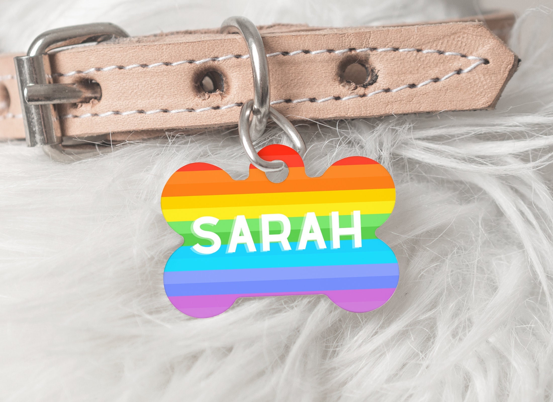 Personalized front and back LGBTQ Rainbow Dog Name Tag 