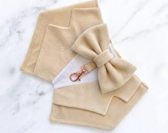 Beige Velvet Dog Tuxedo Bandana: Dog Ring Bearer Outfit