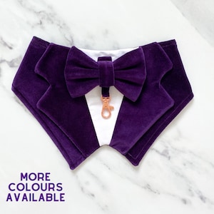 Dark Purple Velvet Wedding Dog Tuxedo | Deep Violet Wedding Pet Tuxedo  | Dog Wedding Ring Bearer | Optional Upgrade to Ring Bearer Style