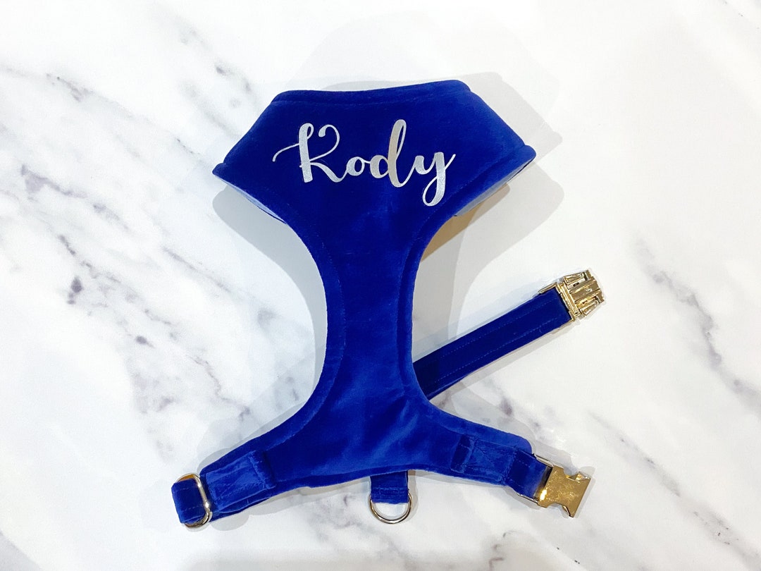 Royal Blue Velvet Dog Harness Set Optional With Dog Leash Personalise
