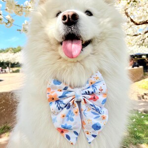 May include: A white fluffy dog wearing a white bow tie with a floral pattern in shades of blue, orange, and yellow. The dog is smiling with its tongue sticking out.
