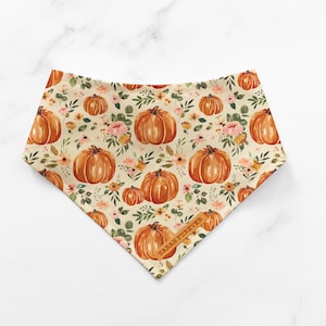 Pode incluir: Uma bandana bege para animais de estimação com um padrão repetido de abóboras laranja, flores rosa e amarelas e folhas verdes. A bandana tem uma etiqueta de couro castanho que diz "SARAH FOREVER".