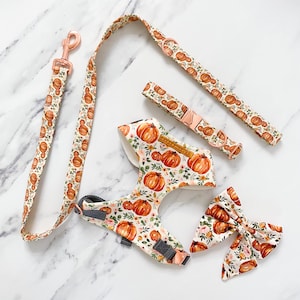 Boho Pumpkins Dog Harness Bundle – Collar – Leash – Bow  – name personalisation – Pumpkin Patches dog harness – Autumn Pet Harness