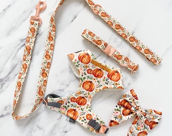 May include: A set of dog accessories featuring a pumpkin and floral print. The set includes a leash, collar, harness, and bow tie. The accessories are all made of a white fabric with a brown and orange pumpkin and floral print. The text "Sarah Joyner" is printed on the harness.