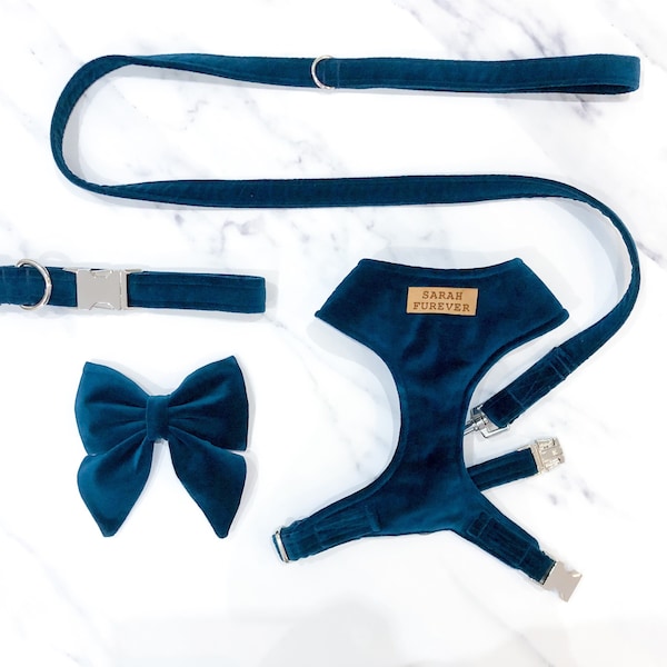 Teal blue Velvet Dog Harness Set – Leash – Personalise with name – Handmade in UK