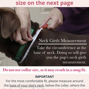 Op de afbeelding: Een bruine hond met een groene halsband en een wit meetlint om de nek. De tekst luidt: Please read the information below before selecting your size on the next page, Neck Girth Measurement, en instructies voor het opmeten.