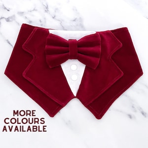 Wine Red Velvet Dog Tuxedo Bandana: Wedding Ring Bearer Outfit