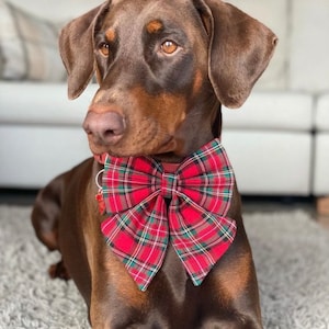 Christmas tartan dog sailor bow