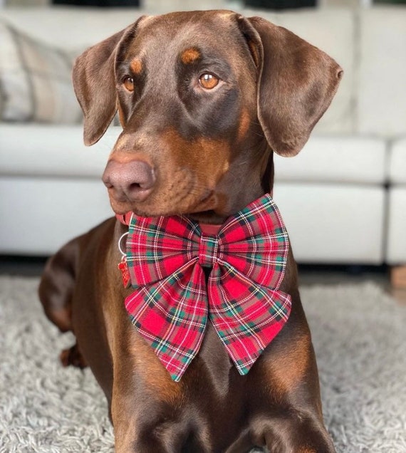 Christmas tartan dog sailor bow