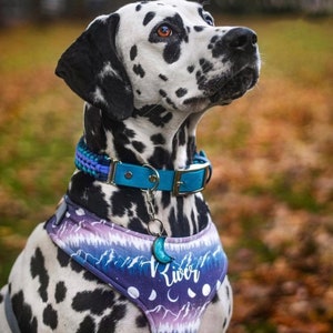 May include: A black and white Dalmatian dog wearing a blue and purple dog harness with a moon and mountain design. The harness has the name "River" printed on it. The dog is wearing a blue collar with a silver tag.