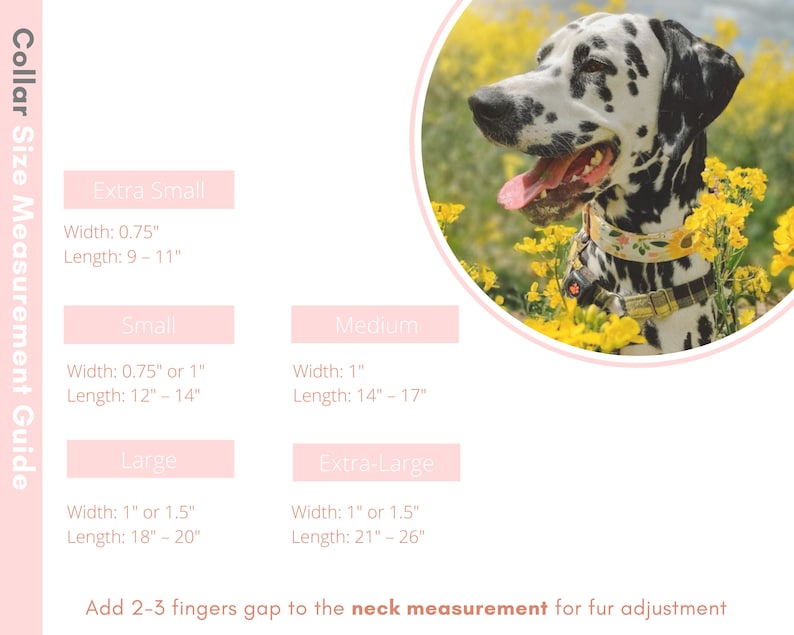 May include: A chart with a Dalmatian dog in a floral dog collar, showing collar size measurements for extra small, small, medium, large, and extra-large collars. The chart includes width and length measurements in inches. The text "Add 2-3 fingers gap to the neck measurement for fur adjustment" is at the bottom of the chart.