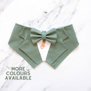 Sage Green Wedding Dog Tuxedo | Wedding Pet Tuxedo Bandana  | Optional Upgrade to Dog Ring Bearer Style | Celadon Wedding Pet Attire