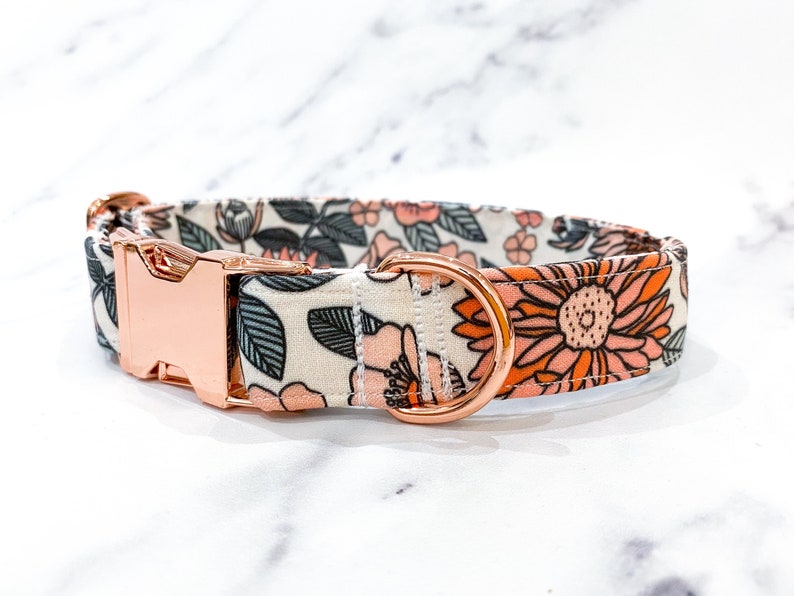 May include: A white dog collar with a floral pattern in shades of pink, orange, and green. The collar has a rose gold buckle and D-ring.