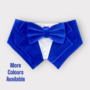 Royal Blue Velvet Wedding Dog Tuxedo | Blue Wedding Pet Tuxedo  | Dog Wedding Ring Bearer | Optional Upgrade to Ring Bearer Style