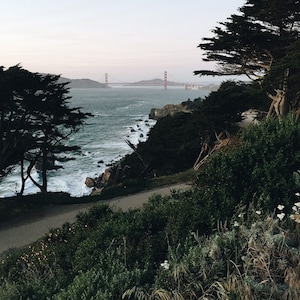 Land&#39;s End - San Francisco - Digital Image