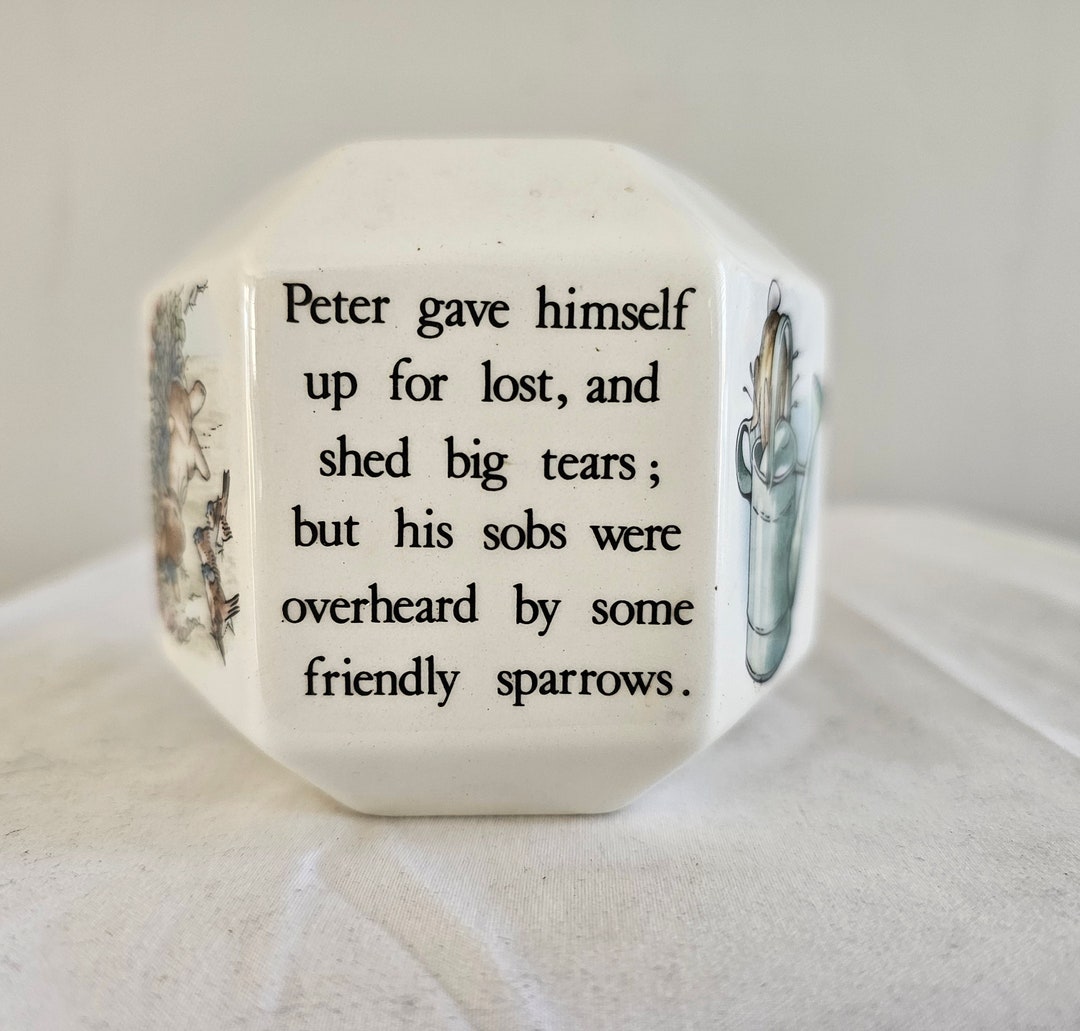 Peter Rabbit Six Sided Piggy Bank - Etsy