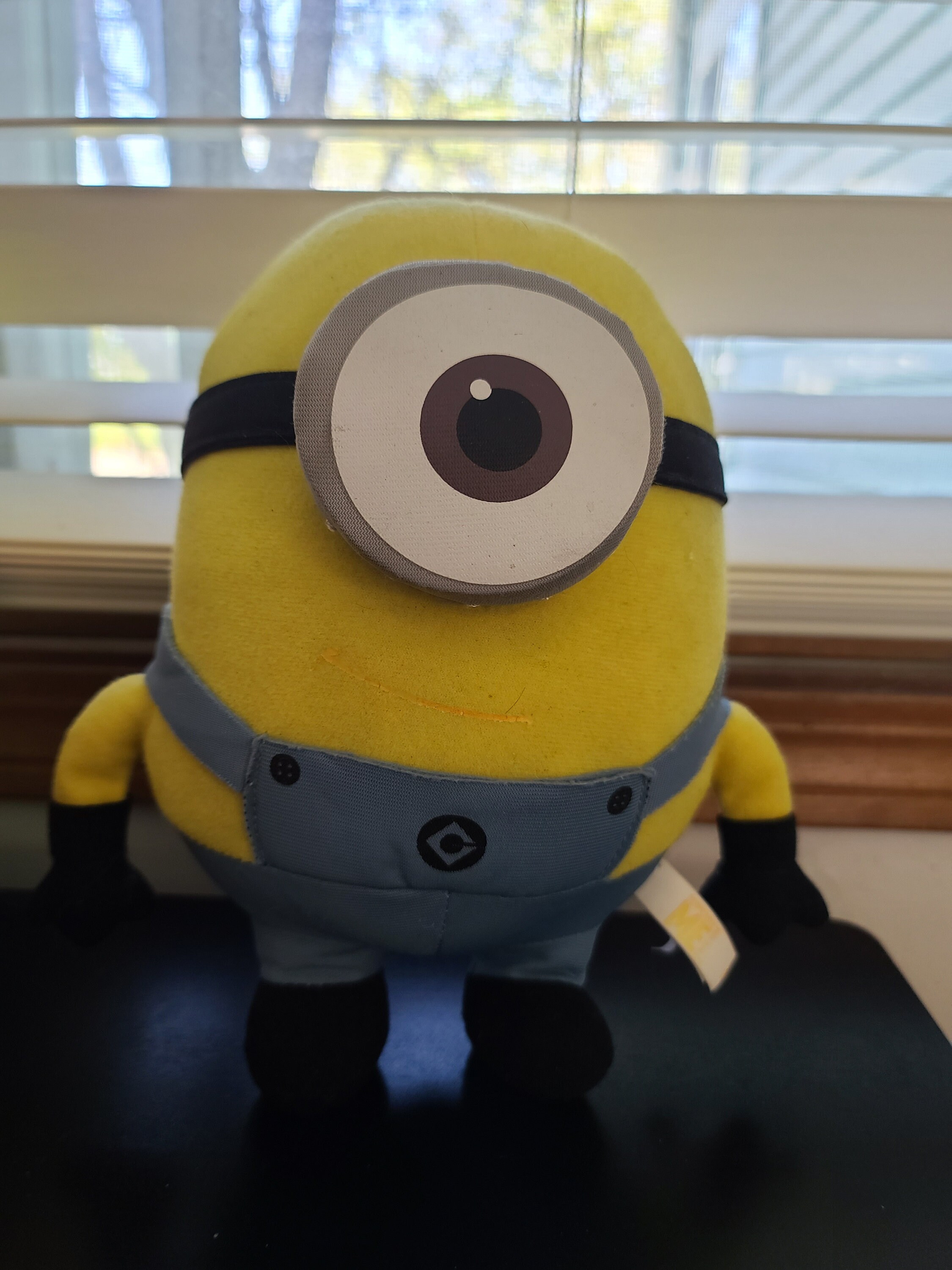 Minions Toy Book and Plush Lot Etsy India