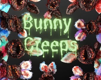 Zombie Rabbit Art - Etsy