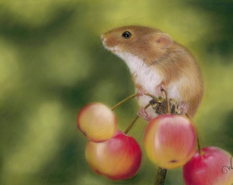 Harvest - original pastel painting of a harvest mouse