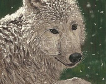 Original pastel painting of a Hudson Bay wolf in the falling snow 'Snow Wolf'