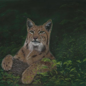 Peinture au pastel originale d&#39;un lynx