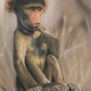 Original pastel painting of a young baboon