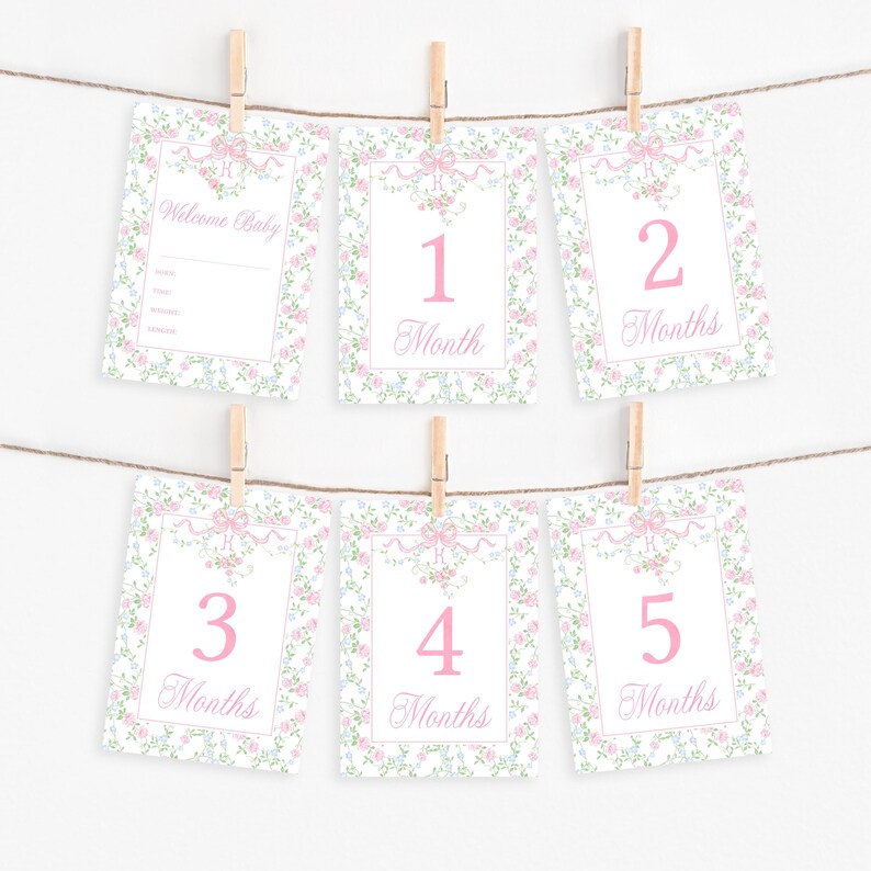 Printable Baby Girl Milestone Cards, Floral Vines Baby Month Signs ...