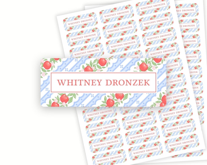 Personalized Apple Pattern School Name Labels