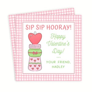 May include: Two Valentine's Day cards with a pink gingham border. The cards feature a cartoon illustration of a bottle with a heart on top and the text "SIP SIP HOORAY! Happy Valentine's Day!" and "YOUR FRIEND, HADLEY".