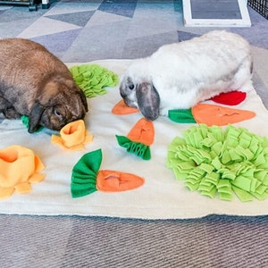 Tokihut Foraging Mat Rabbit Bunny Guinea Pig Toy Enrichment Mind Stimulating Boredom Breaker, Carrot Fleece Snuffle Mat