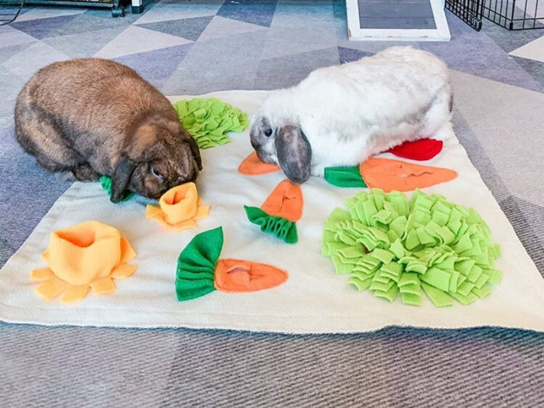 Tokihut Foraging Mat Rabbit Bunny Guinea Pig Toy Enrichment Mind Stimulating Boredom Breaker, Carrot Fleece Snuffle Mat Veggie Mat