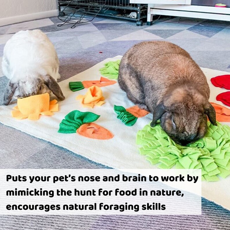 Tokihut Foraging Mat Rabbit Bunny Guinea Pig Toy Enrichment Mind Stimulating Boredom Breaker, Carrot Fleece Snuffle Mat image 2