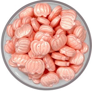 Sprinkles Pumpkin Coral Pink Pumpkin Sprinkles -- Floral Fall Colors Fall Sprinkles Pastel Colors Pink Coral Blush Light Orange Pumpkins