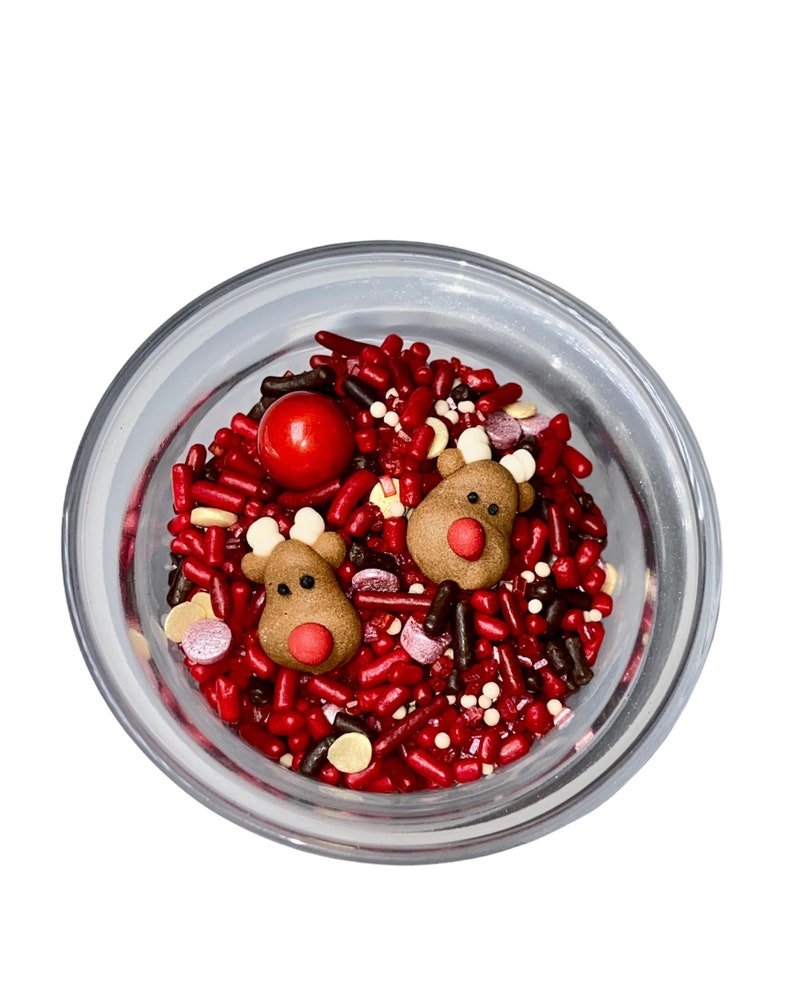 Royal Icing Mini Reindeer Winter Christmas Reindeer Themed Party