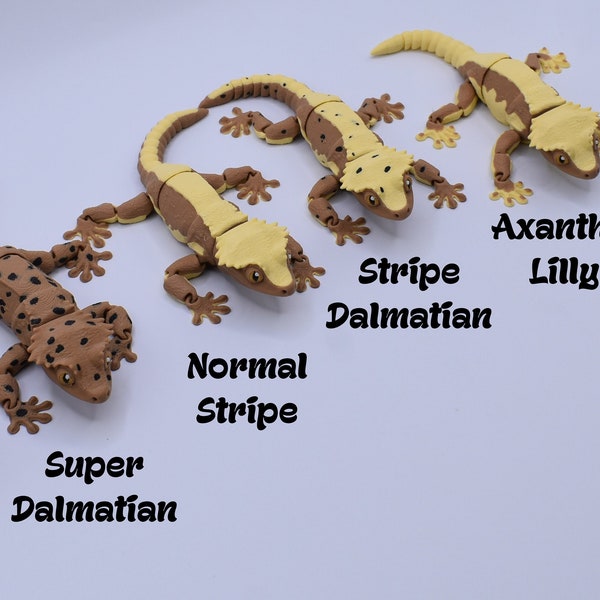 3D Flexi Crested Gecko Print