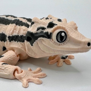 Flexi Gargoyle Gecko