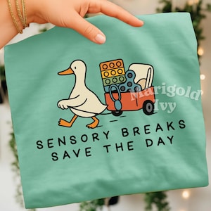 Rbt Png Behavior Aba Png Silly Goose Shirt Sublimation Designs Sticker Behavior Therapy Downloads POD License Digital Instant Commercial