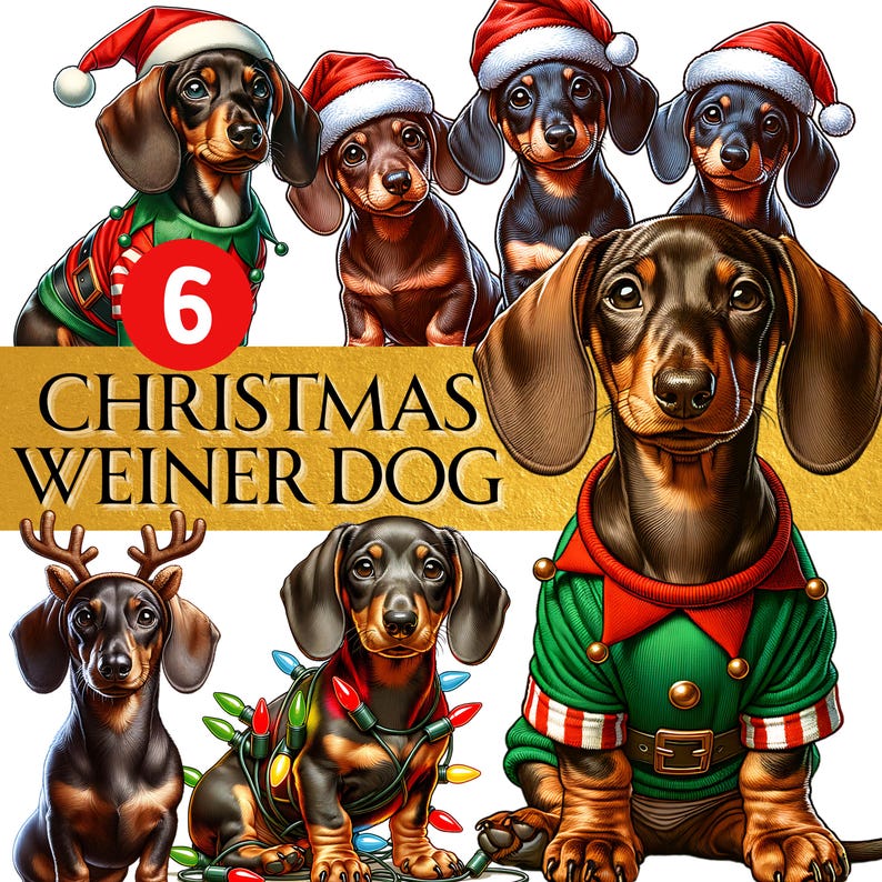 Christmas Dachshund Clipart Weenie Dog Png Weiner Printable Watercolor ...