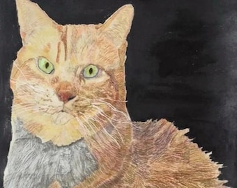 Realistic Cat Colored Pencil Drawing - Hand Drawn Art (Custom Order)
