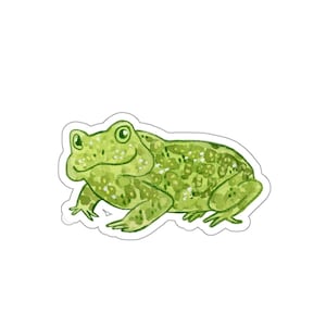 Oak Toad Sticker- Waterproof | Toad Sticker | Animal Sticker
