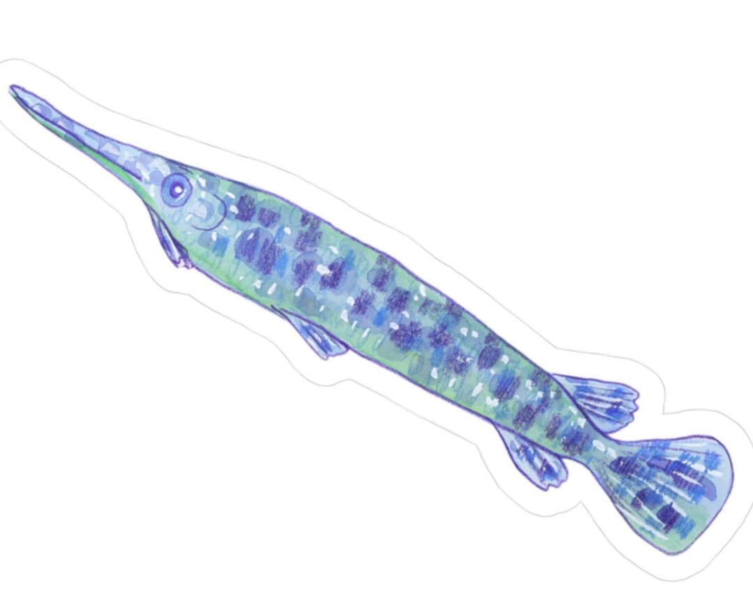 Spotted Gar Sticker Kiss-cut Vinyl Decal | Blue Tropical Fish - Etsy