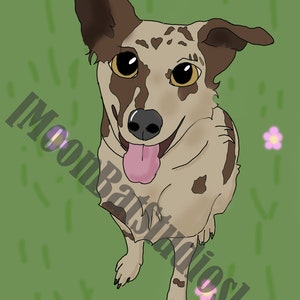 Cartoon Pet Portrait