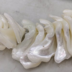 Może przedstawiać: Szereg białych, perłowych koralików z muszli, każdy koralik ma kształt płatka kwiatu.