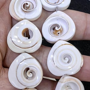 20 stks Natuurlijke Stekelige Oesterschelp Natuurlijke Wanbao Slak Shell Hart Hanger 20mm Harten Shell Charm Edelsteen Kraal Boho Sieraden oorbellen