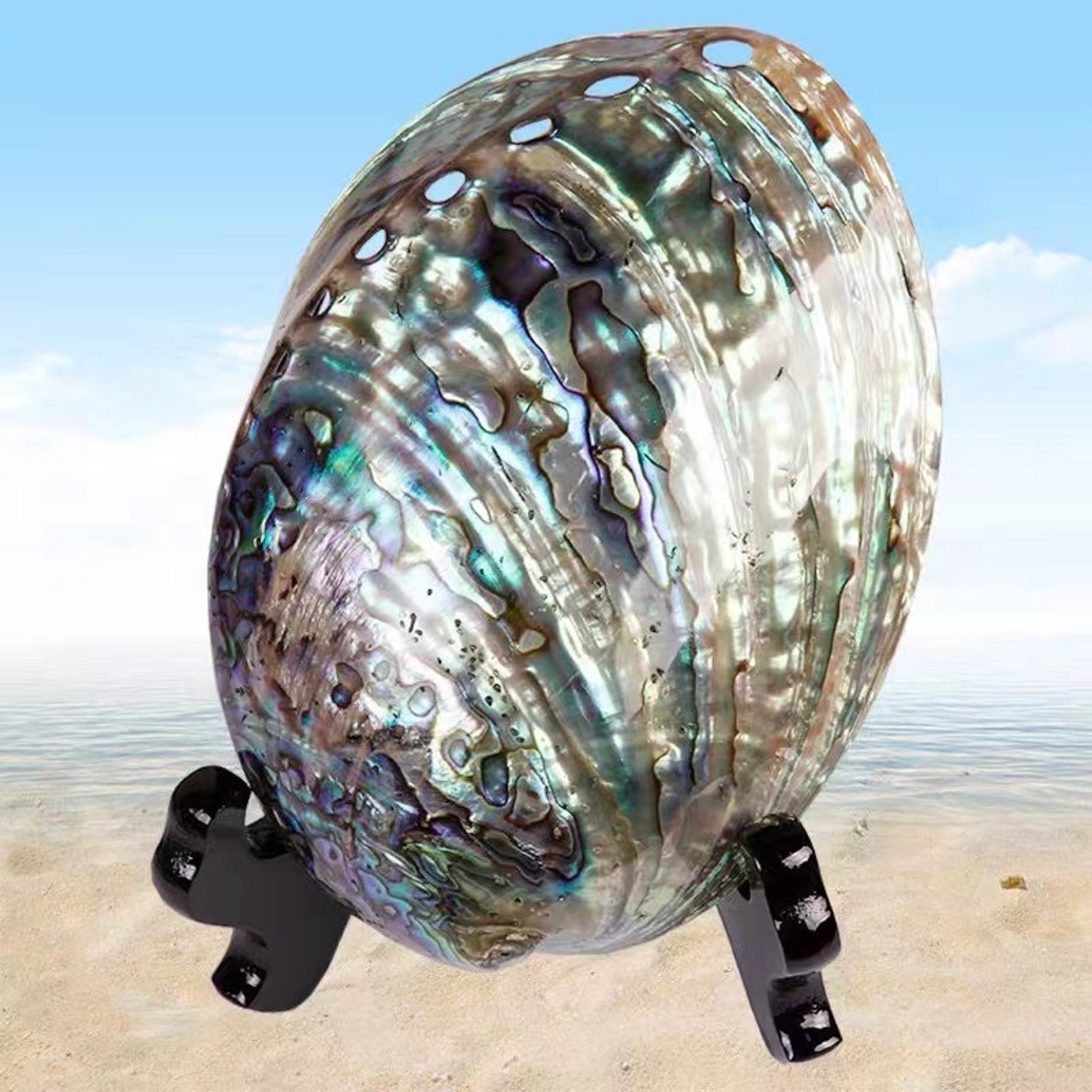 AA Genuine Rainbow Abalone Shell Jewelry Shell Half Mother of Pearl ...